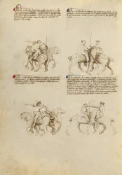 Fiore dei Liberi